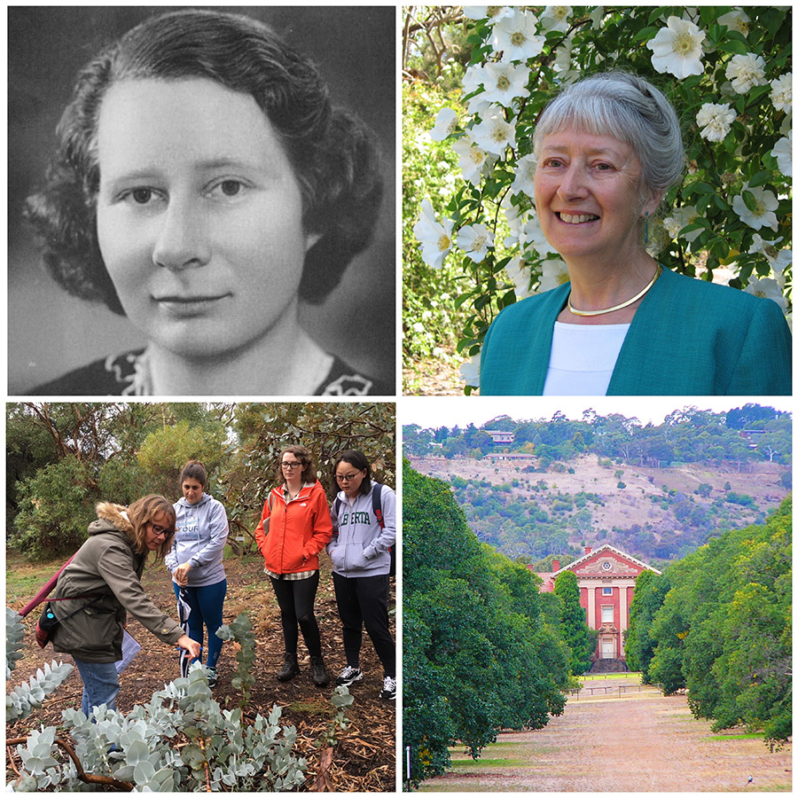 SA History Festival A Woman's Place is in the Arboretum Newsroom