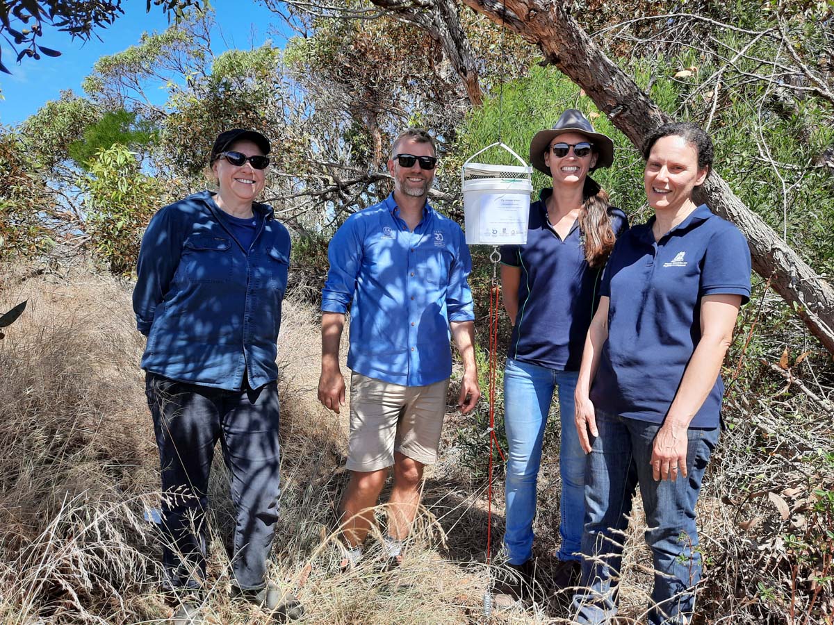 Fly biocontrol release targets farm snail pests | Newsroom | University ...