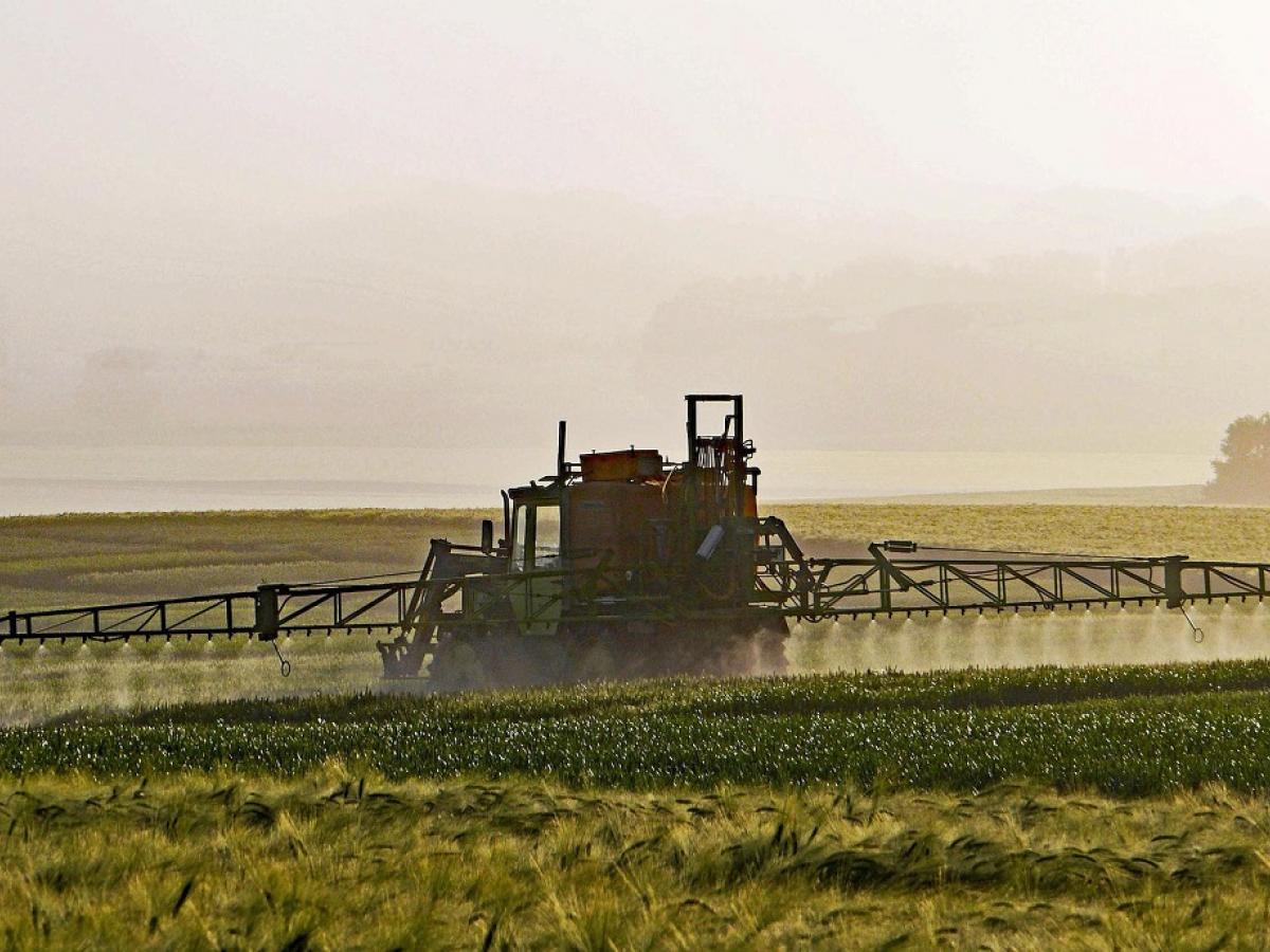 A tractor in a field spraying weeds.