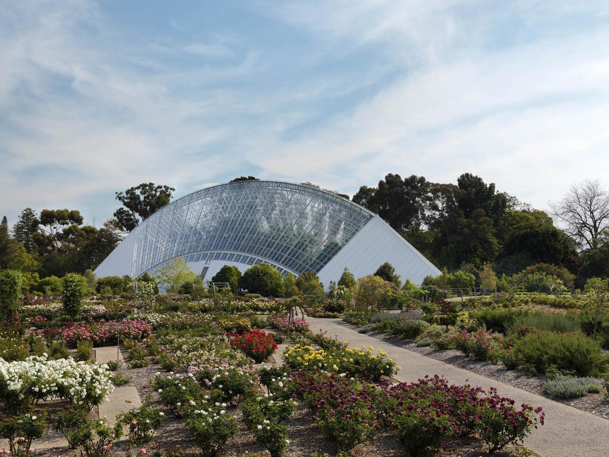 Adelaide+Botanic+Garden+hosts+first+major+outdoor+exhibition+of+contemporary+glass