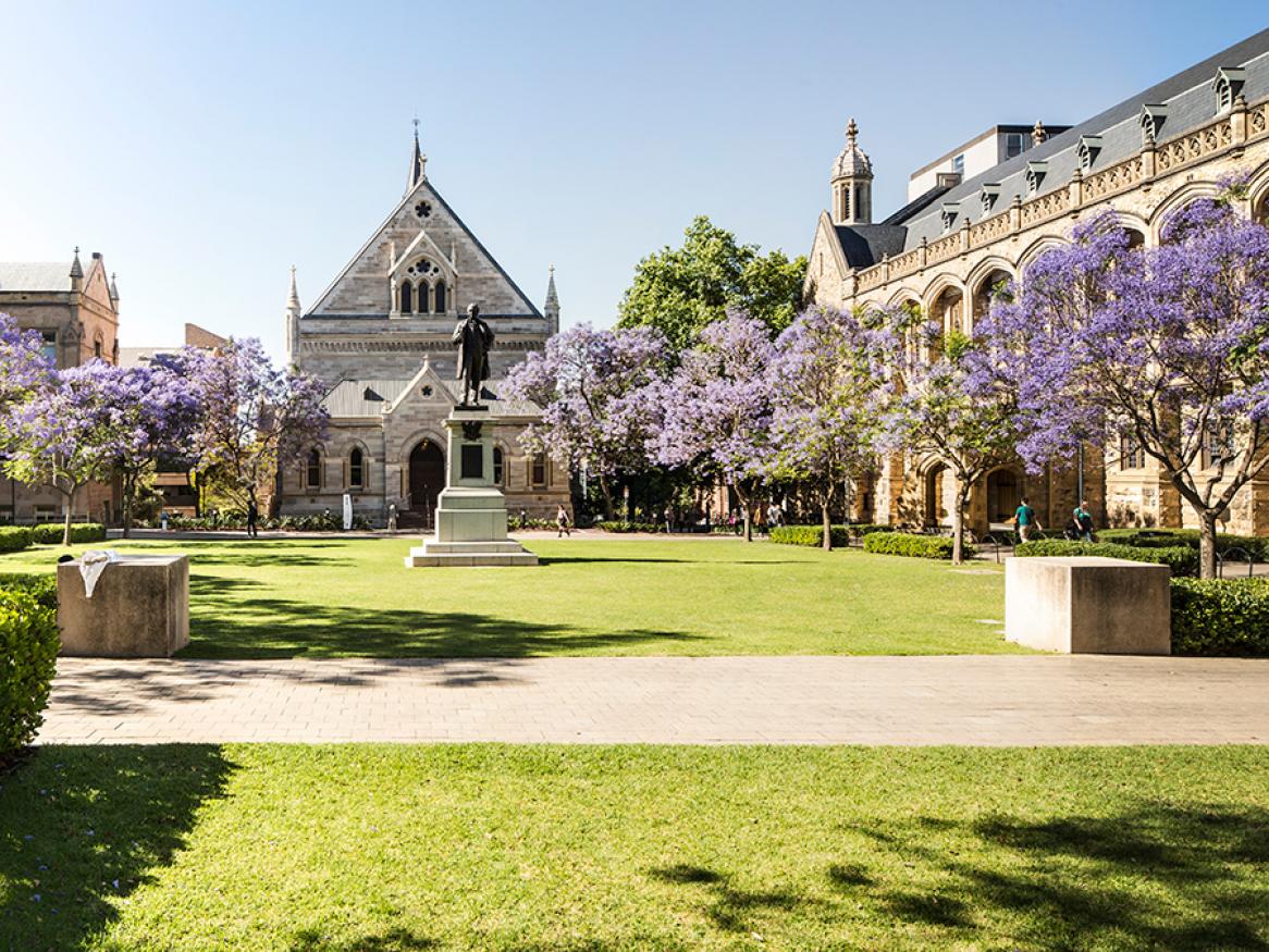 university of adelaide phd positions