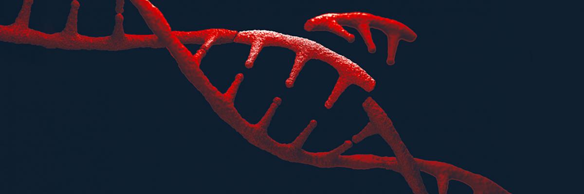 Redefining human genetics