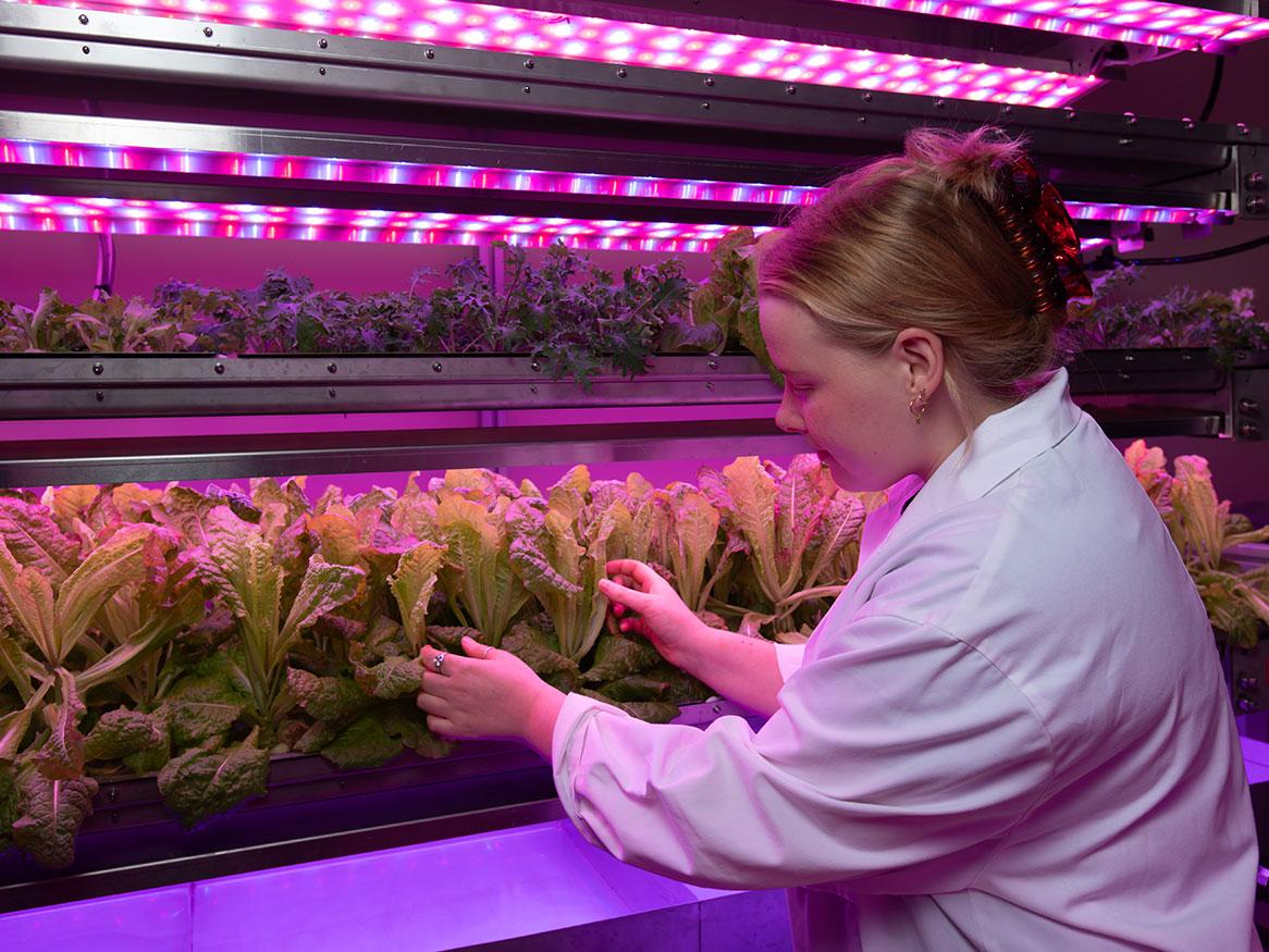 Growing plants for space: securing Earth’s sustainable future