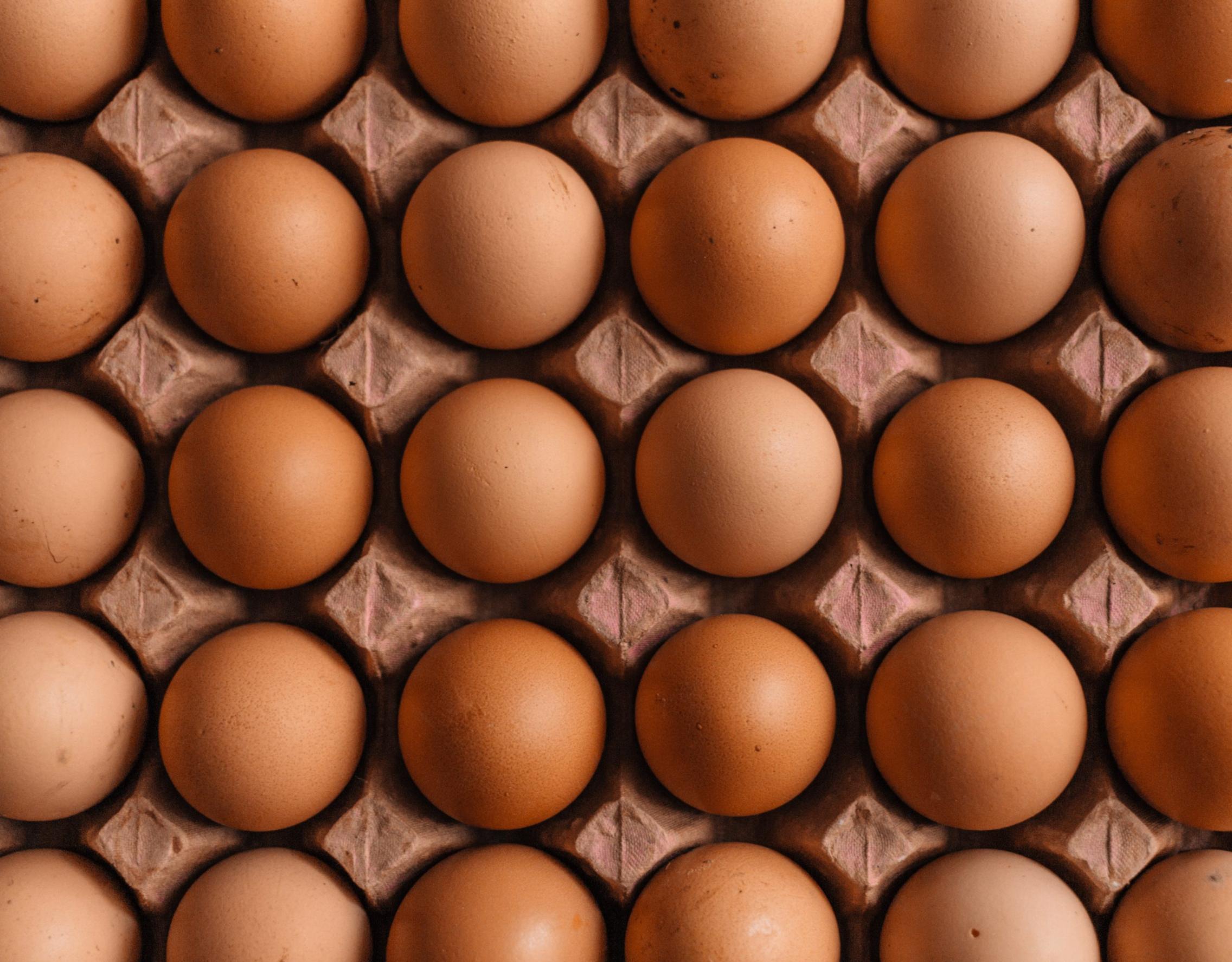 eggs