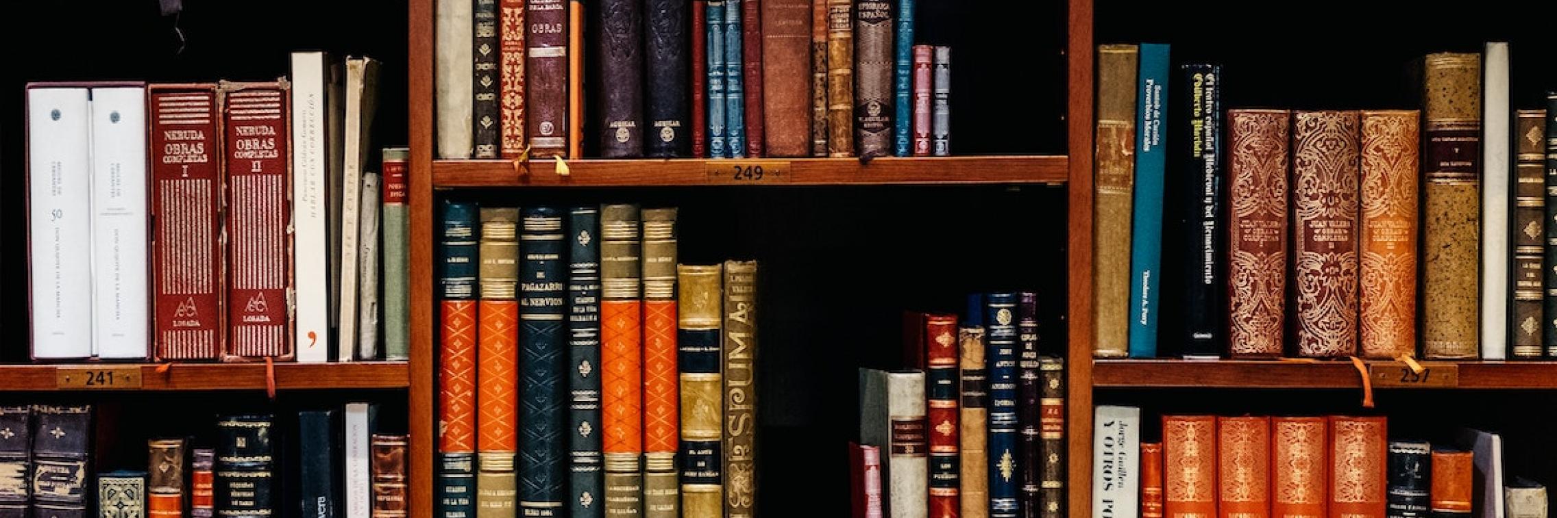 Bookshelf filled with books.