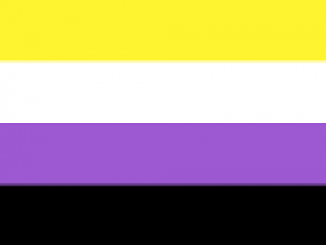 non binary flag (horizontal stripes: yellow, white, purple, black)