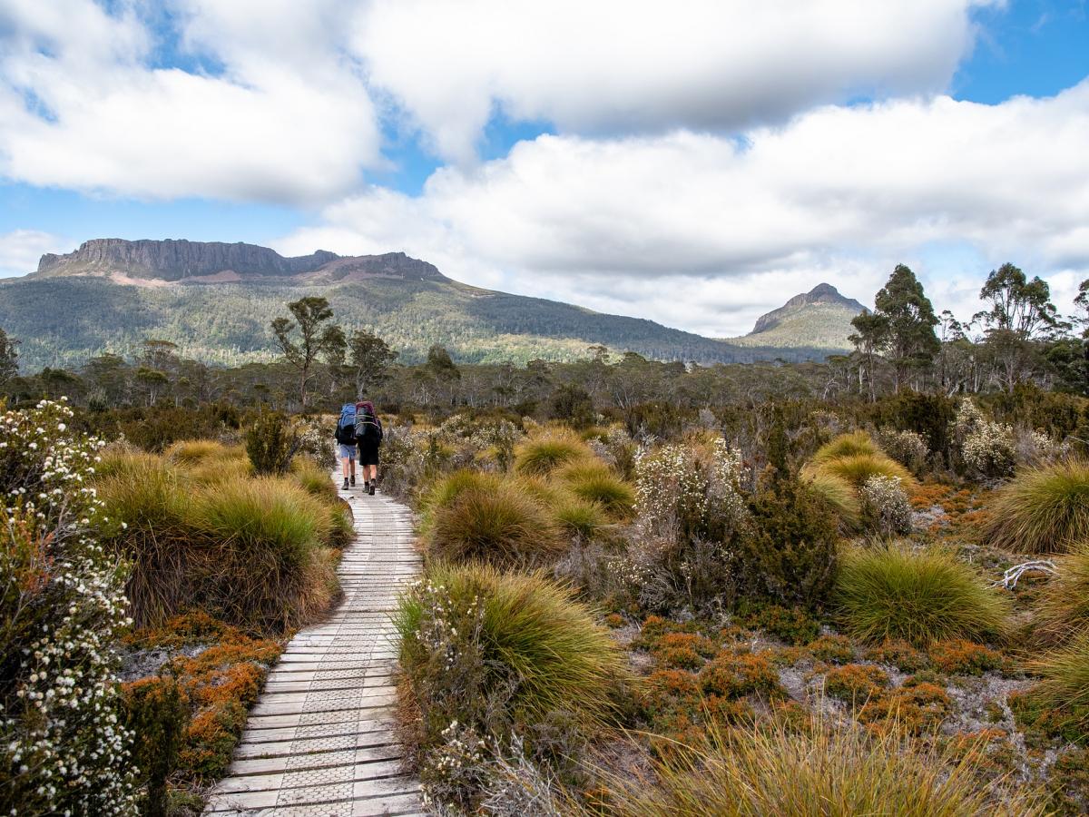 The Overland Track 