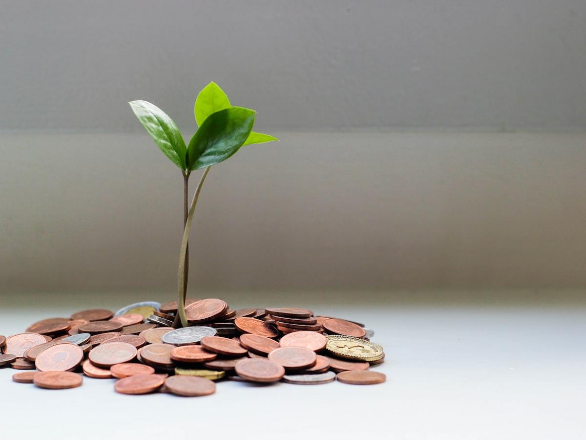 A plant shoot sprouting from a pile of coins.