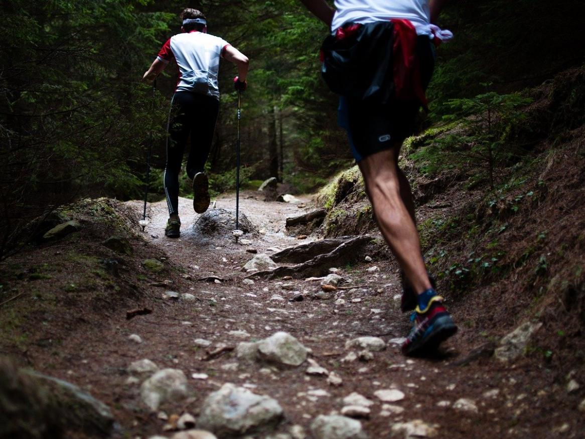 Two runners running on rocky dirt track in forest.