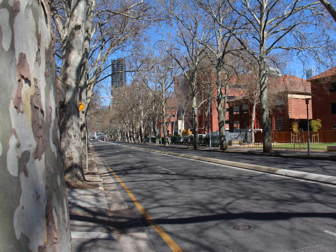 An empty street