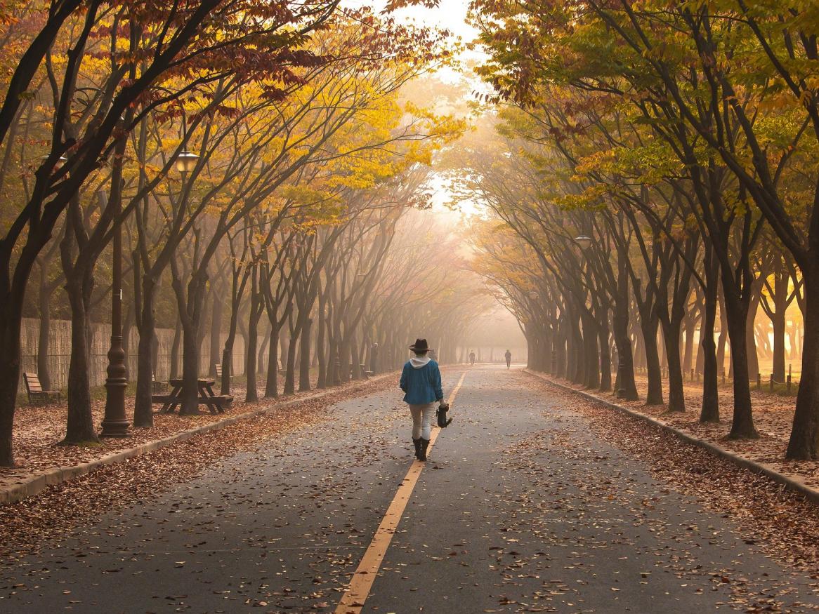 An autumn walk
