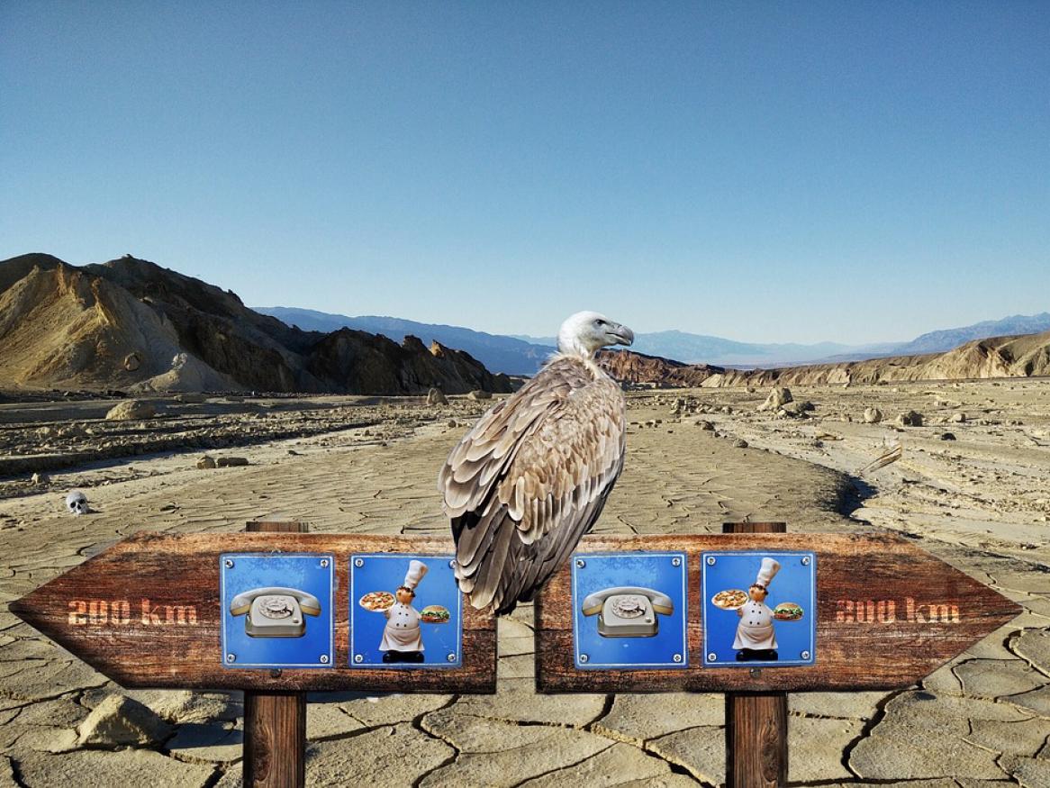 eagle on a sign in the desert