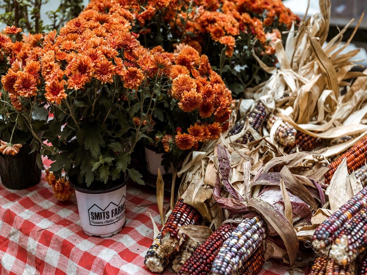 Corn and flowers on a table.