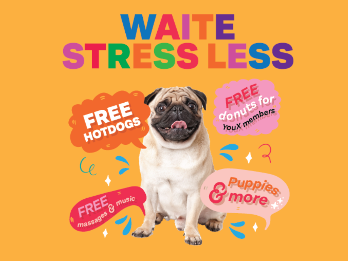 Text Waite Stress Less with photo of a pug, speech bubbles around it