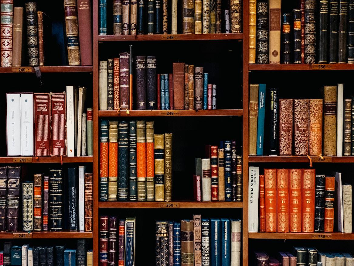 Bookshelf filled with books.