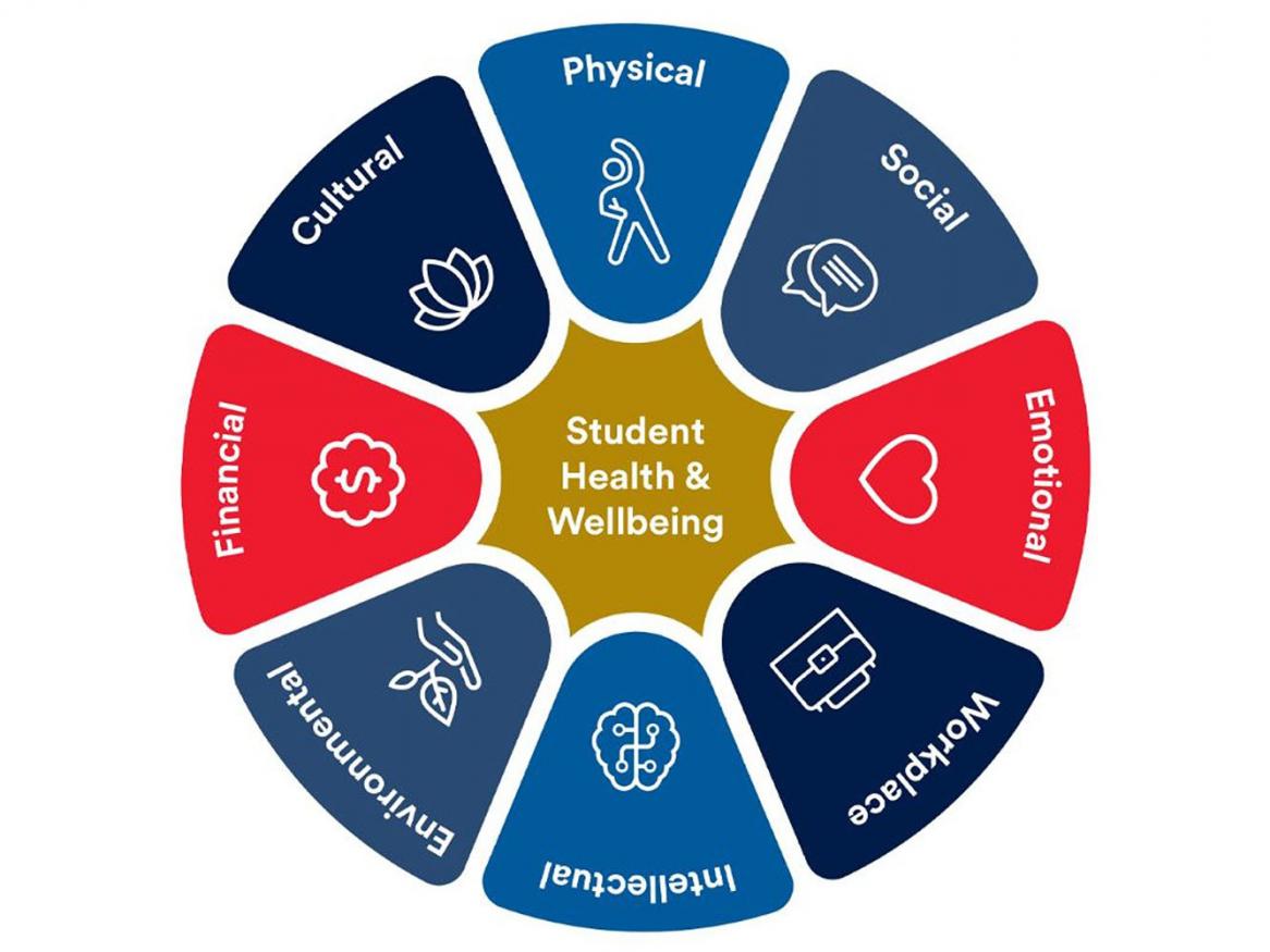 A wheel split into 8 dimensions, each representing a different aspect of Wellbeing