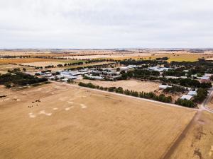 At Roseworthy campus there are about 500 hectares sown to wheat, barley, oats, oilseed and medic crops.