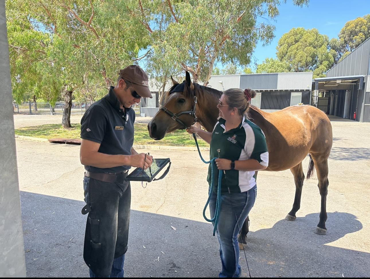 Dr. Olivier and Nurse Courtney reading Ozzies Lameness Report